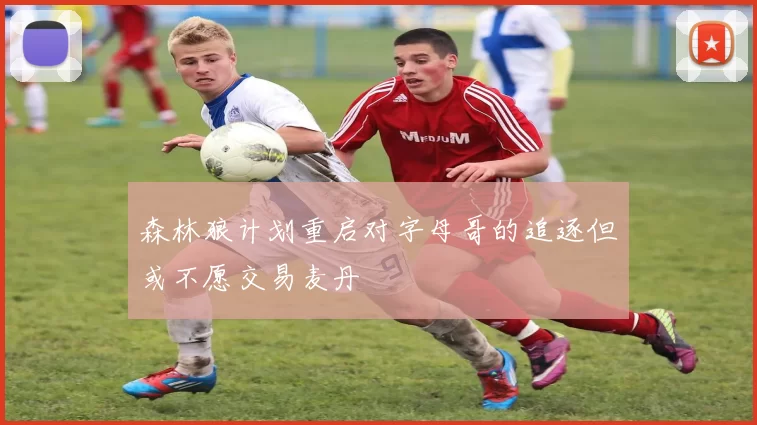 森林狼计划重启对字母哥的追逐但或不愿交易麦丹