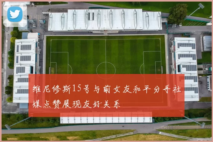 维尼修斯15号与前女友和平分手社媒点赞展现友好关系